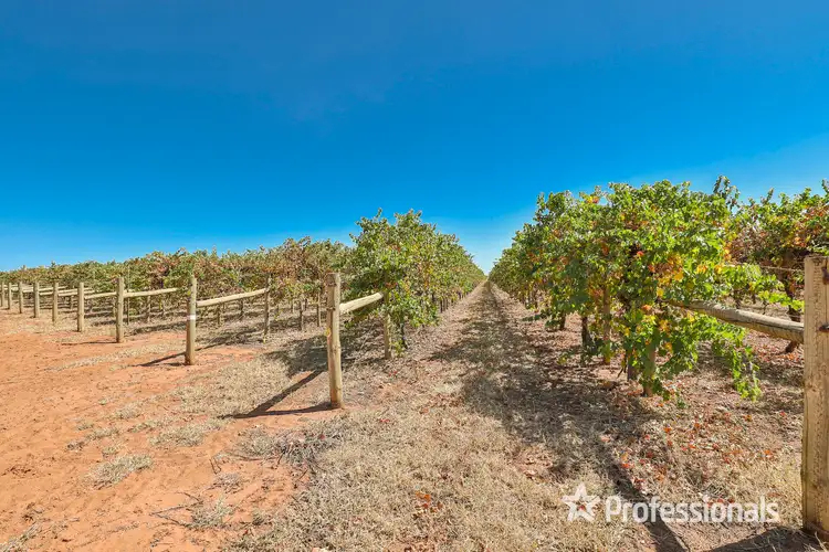Fourth view of Homely rural property listing, 110 Swamp Road, Red Cliffs VIC 3496