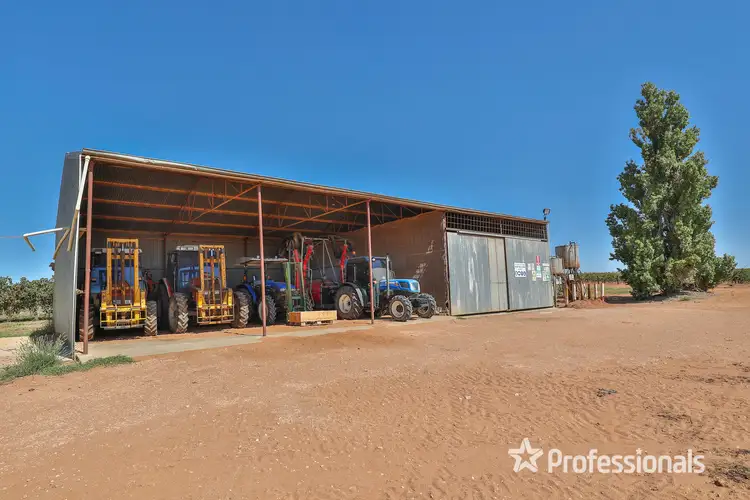 Fifth view of Homely rural property listing, 110 Swamp Road, Red Cliffs VIC 3496