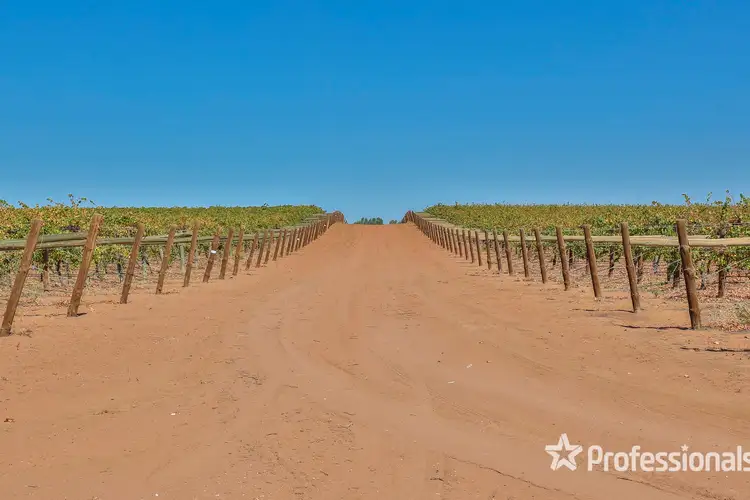Sixth view of Homely rural property listing, 110 Swamp Road, Red Cliffs VIC 3496
