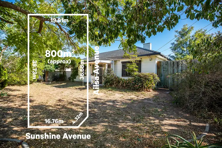 19 Sunshine Avenue, Warradale SA 5046