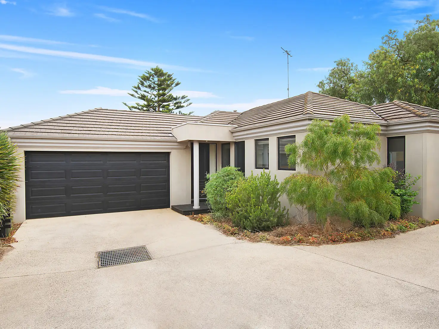 Main view of Homely townhouse listing, 3/41 Percy Street, Newtown VIC 3220