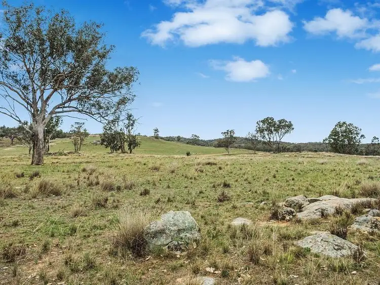 Fifth view of Homely rural property listing, 773 Black Springs Road, Mudgee NSW 2850