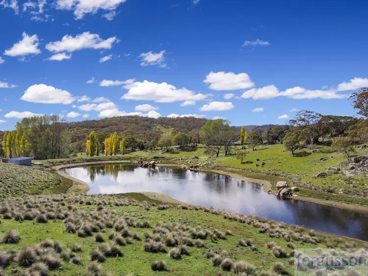 Main view of Homely rural property listing, 736 Kybeyan Road, Nimmitabel NSW 2631