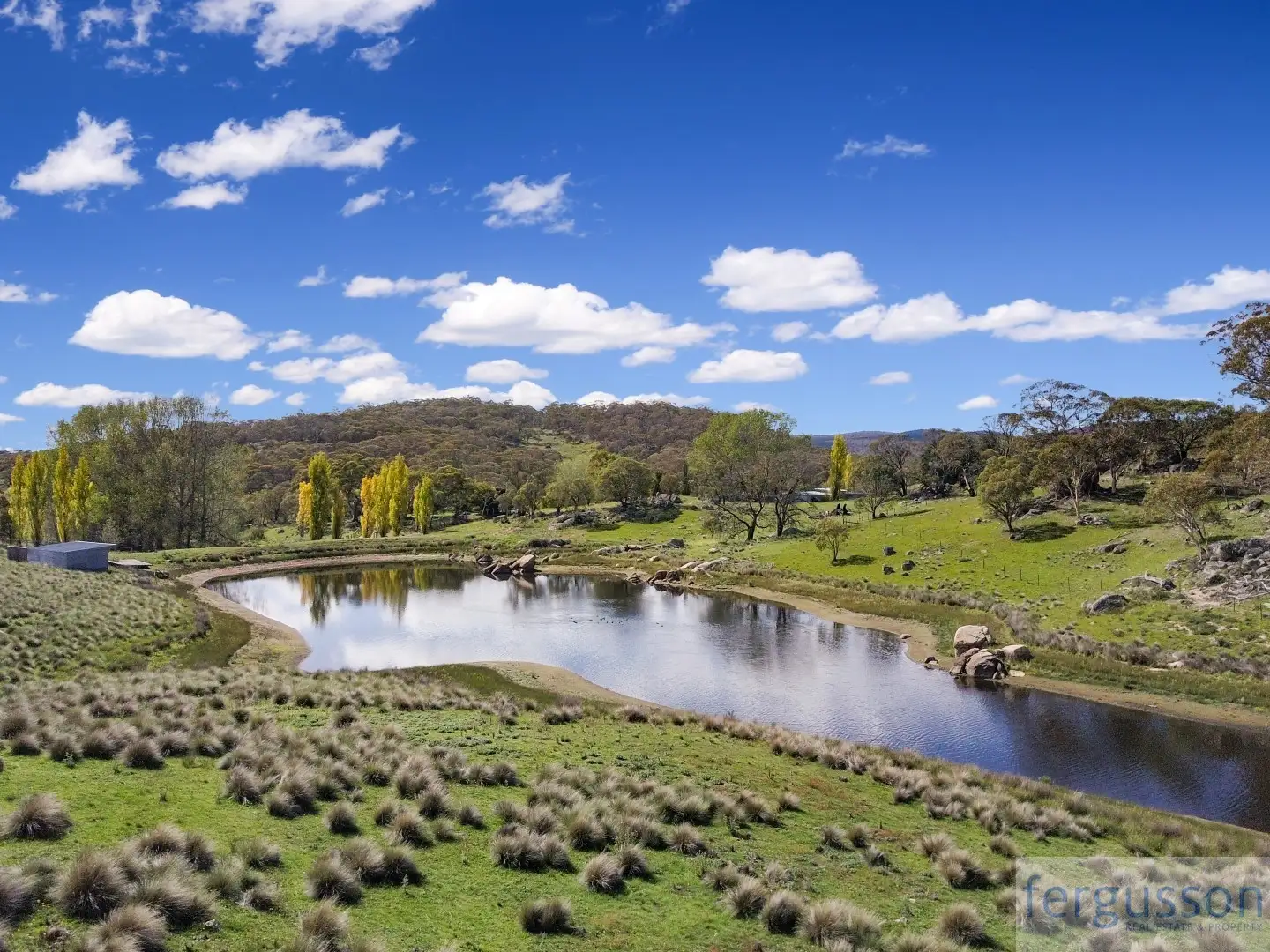 Main view of Homely rural property listing, 736 Kybeyan Road, Nimmitabel NSW 2631