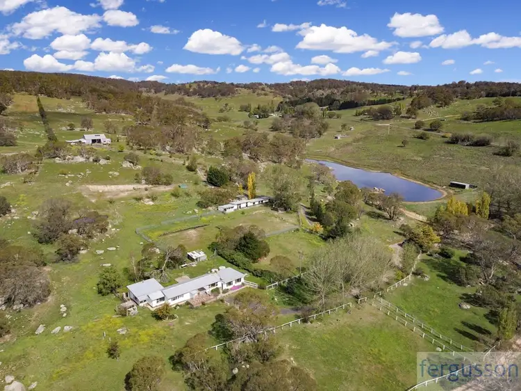 Second view of Homely rural property listing, 736 Kybeyan Road, Nimmitabel NSW 2631