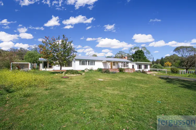 Third view of Homely rural property listing, 736 Kybeyan Road, Nimmitabel NSW 2631