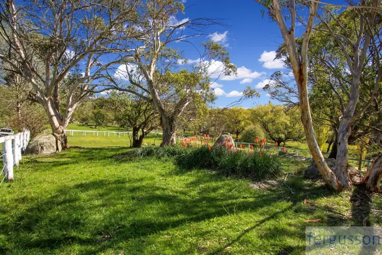 Fourth view of Homely rural property listing, 736 Kybeyan Road, Nimmitabel NSW 2631