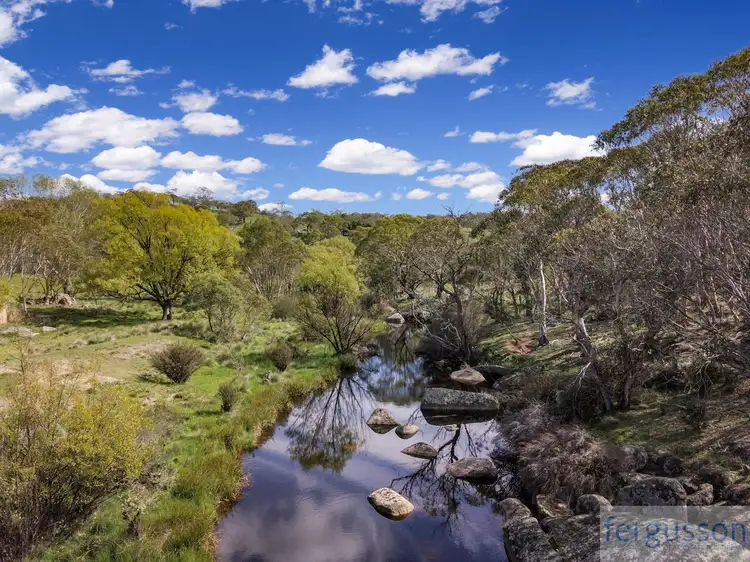 Fifth view of Homely rural property listing, 736 Kybeyan Road, Nimmitabel NSW 2631