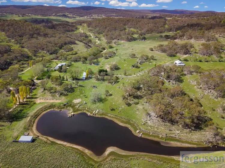 Seventh view of Homely rural property listing, 736 Kybeyan Road, Nimmitabel NSW 2631