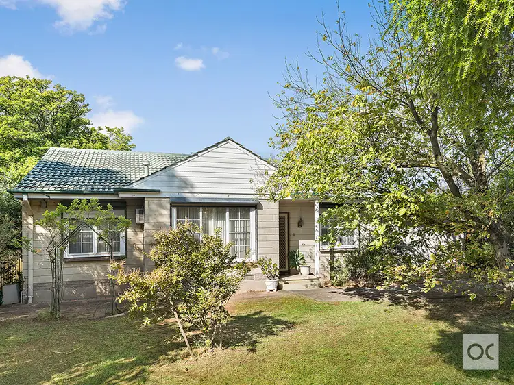 13 Rodney Avenue, Tranmere SA 5073