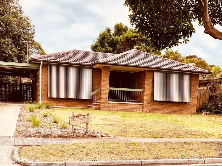 40 Sassafras Drive