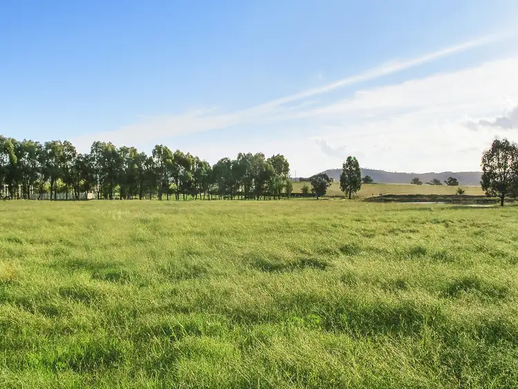 Fourth view of Homely rural property listing, 36 Tinja Lane, Mudgee NSW 2850