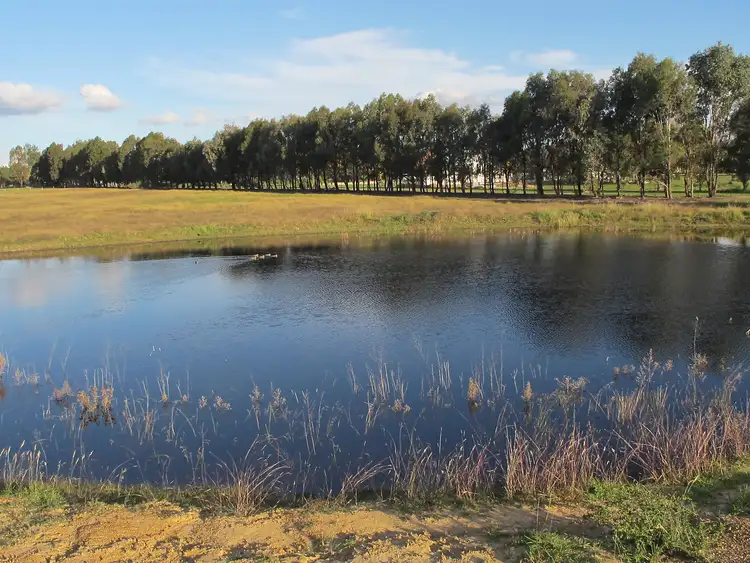 Fifth view of Homely rural property listing, 36 Tinja Lane, Mudgee NSW 2850