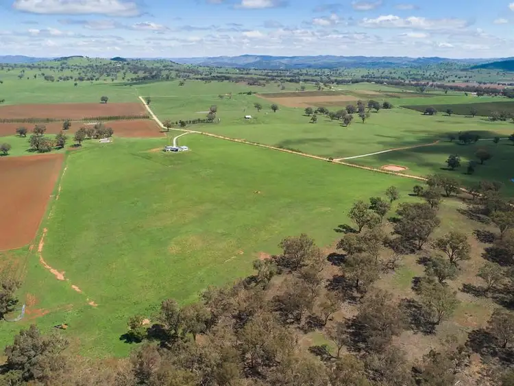 Sixth view of Homely rural property listing, 250 Springfield Lane, Mudgee NSW 2850