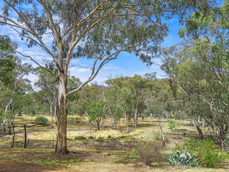 Sixth view of Homely rural property listing, 69 Wilson Road, Mudgee NSW 2850