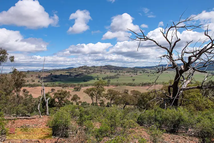 Second view of Homely rural property listing, Old Grattai Road, Mudgee NSW 2850