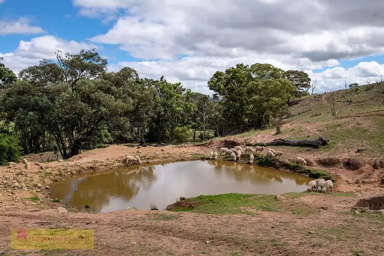 Third view of Homely rural property listing, Old Grattai Road, Mudgee NSW 2850