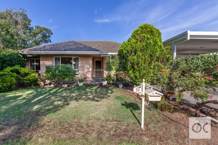 Main view of Homely house listing, 19 Colorado Avenue, Plympton SA 5038