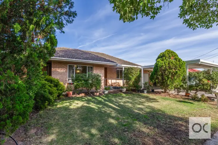 Second view of Homely house listing, 19 Colorado Avenue, Plympton SA 5038