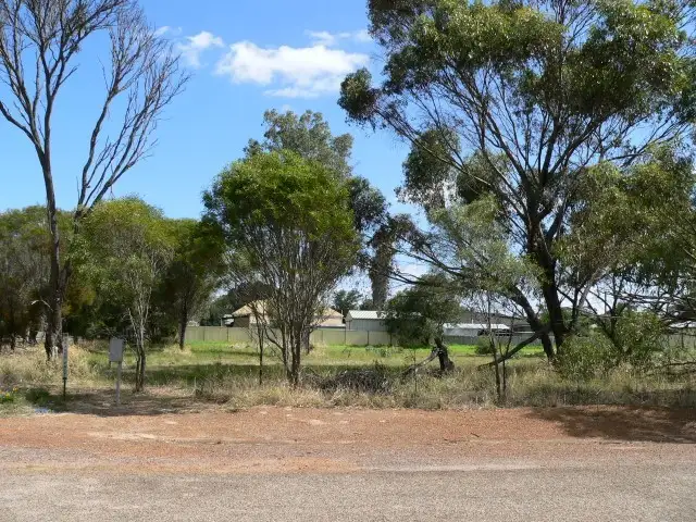 34 Dijon Street, Katanning WA 6317