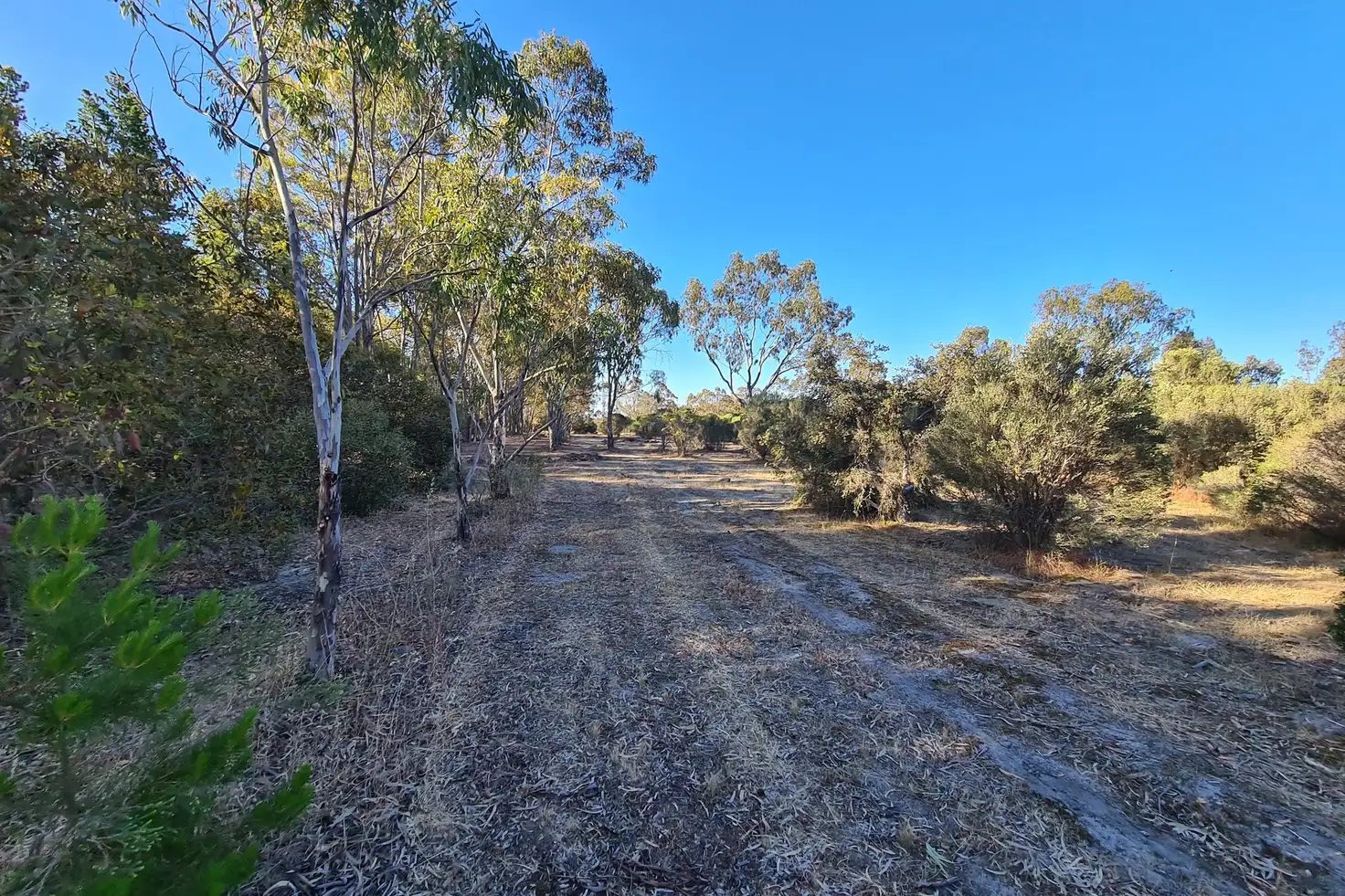 Main view of Homely land listing, 627 Wanke Street, Katanning WA 6317