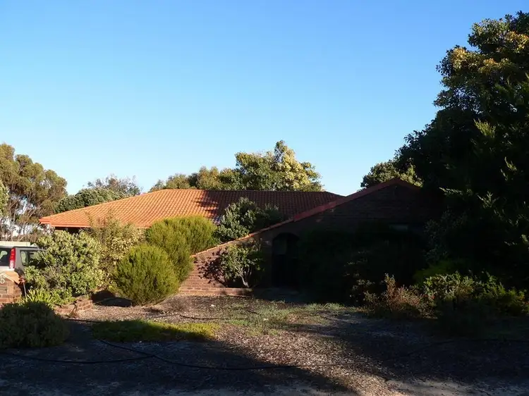 Main view of Homely house listing, 5 Casuarina Drive, Katanning WA 6317
