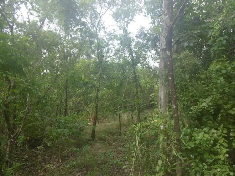 Sixth view of Homely rural property listing, 1015 Namarada Road, Dundee Beach NT 840