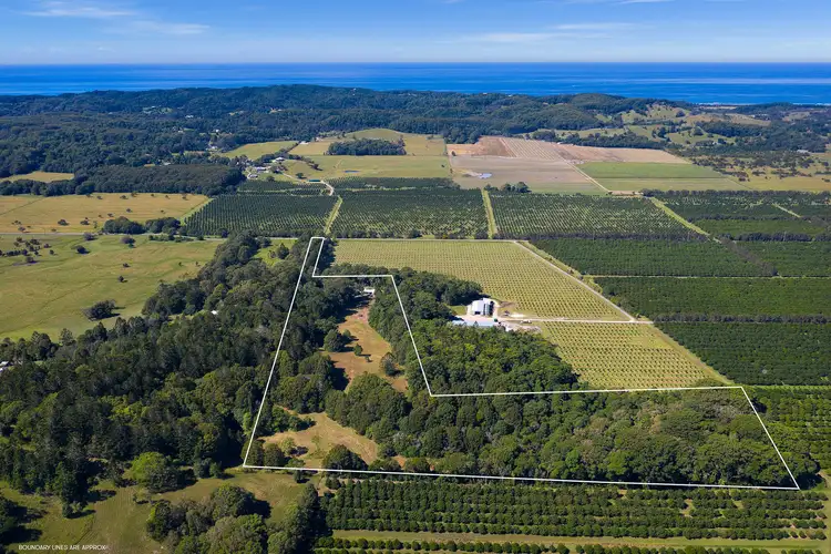 Fifth view of Homely rural property listing, 82 Tims Lane, Broken Head NSW 2481