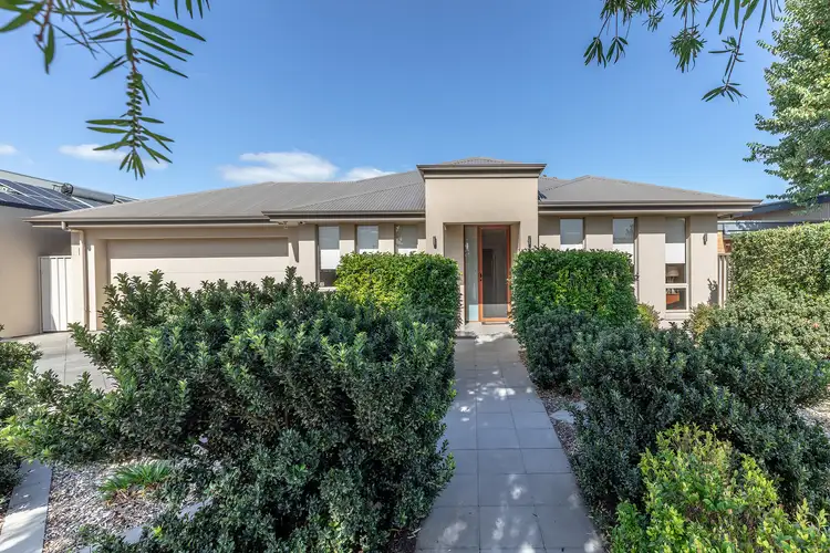 45 Harrow Road, Somerton Park SA 5044
