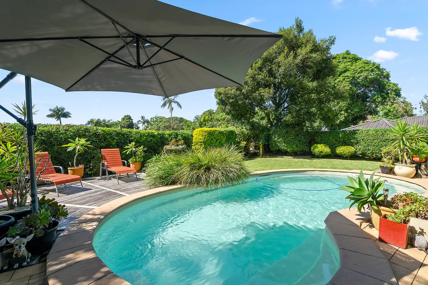 Main view of Homely house listing, 23 Shaws Close, Boambee East NSW 2452