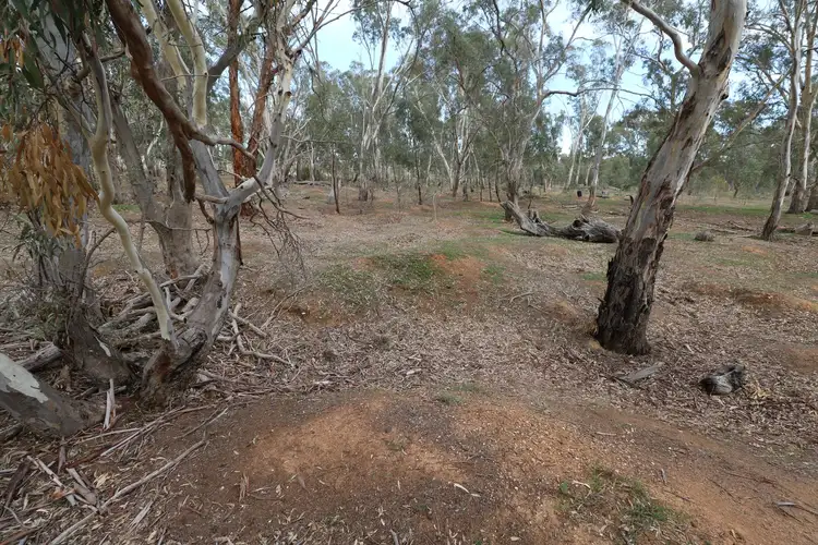 Sixth view of Homely rural property listing, Lot 10K Calder Highway, Wedderburn VIC 3518