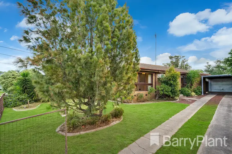 196 Francis Street, Belmont VIC 3216