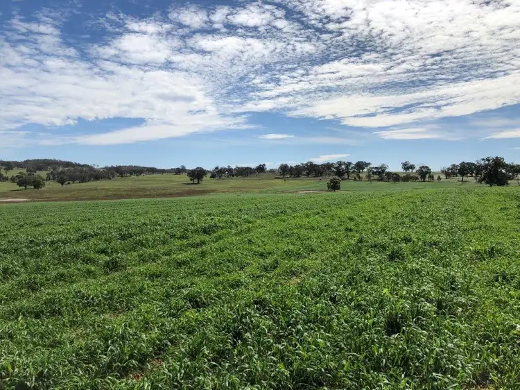 317 Bald Hill Road, Goolma NSW 2852