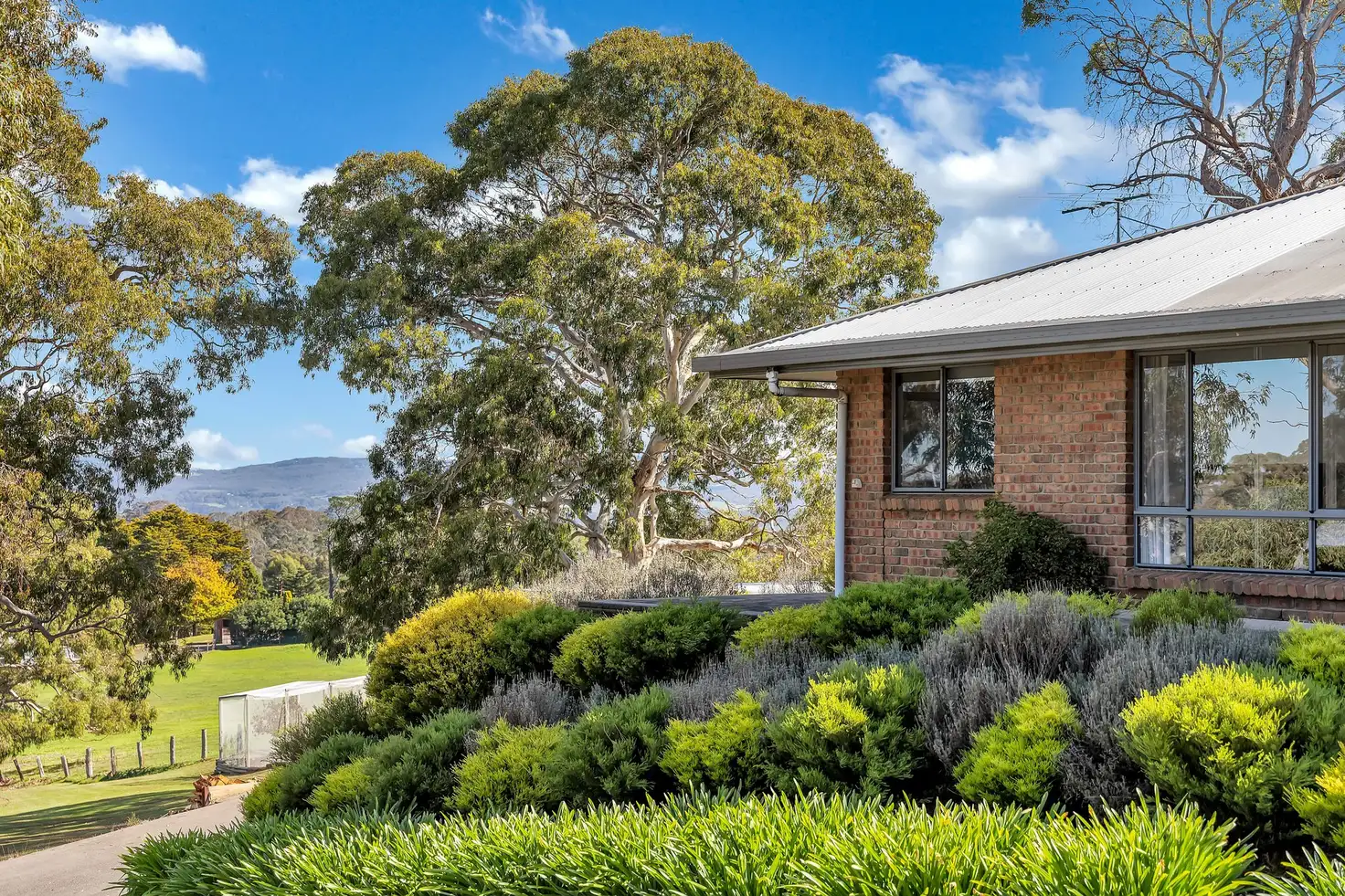 Main view of Homely house listing, 77 Murdoch Hill Road, Woodside SA 5244