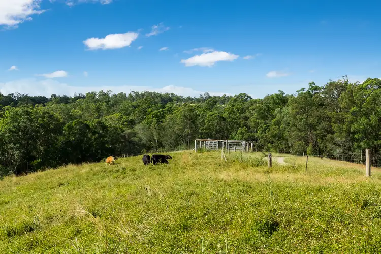 Second view of Homely house listing, 462 Mount Samson Road, Kobble Creek QLD 4520