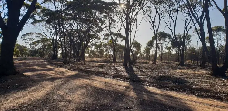 Second view of Homely land listing, 890 Curlew Street, Katanning WA 6317