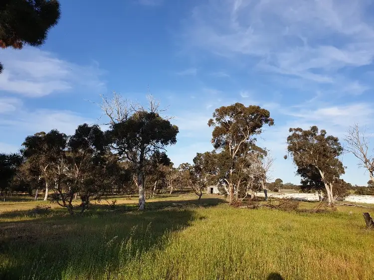 56 Pinwerning Road, Katanning WA 6317