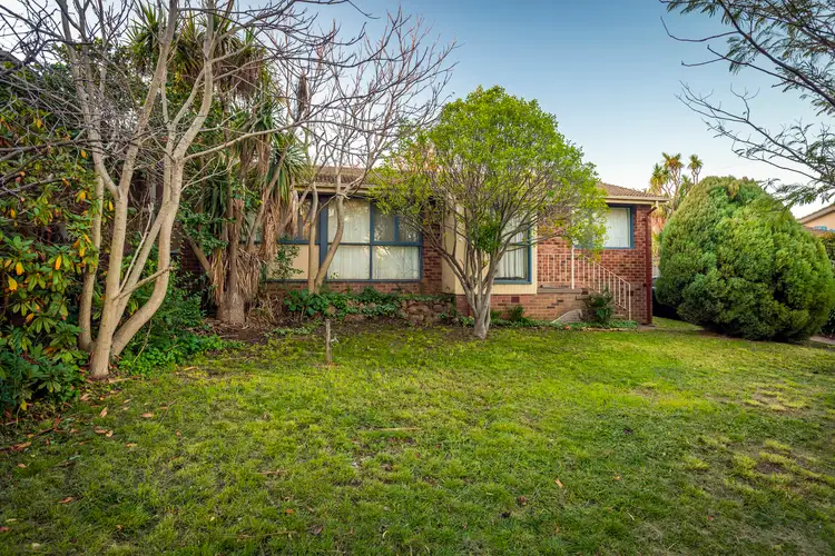 Fifth view of Homely semi-detached listing, 51 Tallara Parkway, Narrabundah ACT 2604