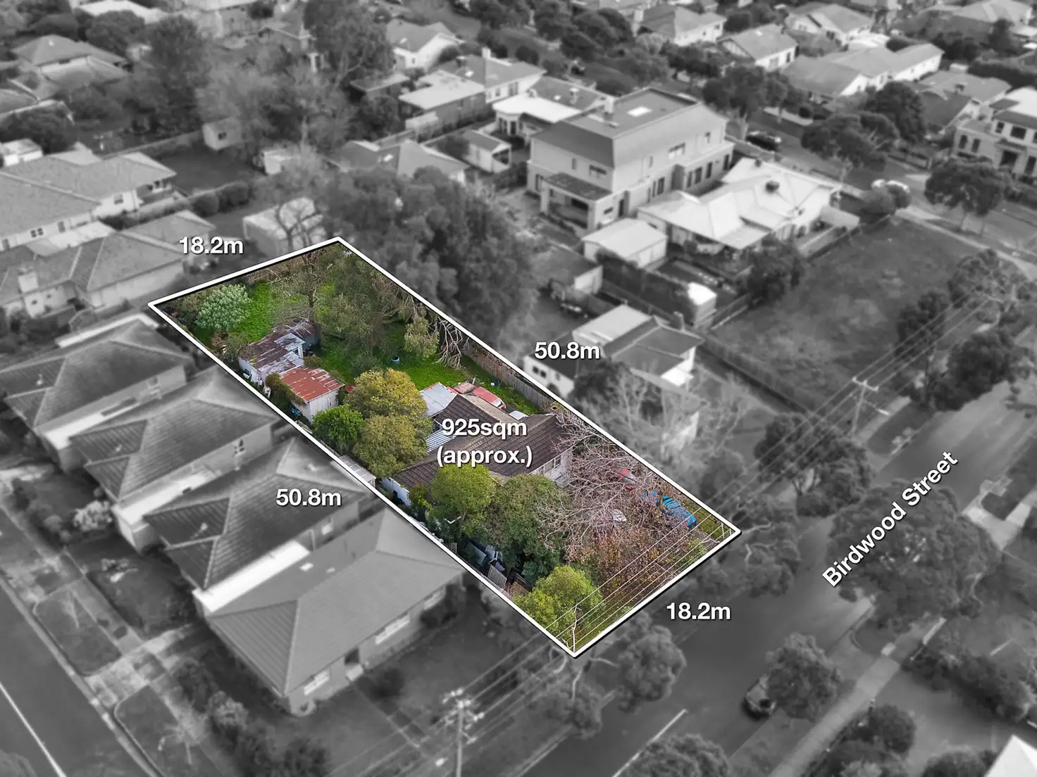 Main view of Homely house listing, 34 Birdwood Street, Box Hill South VIC 3128