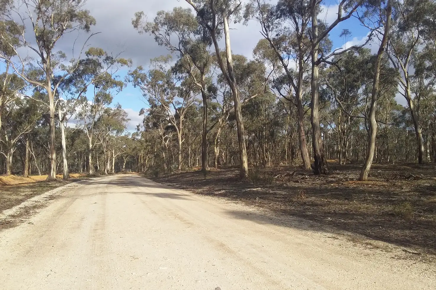 Main view of Homely rural property listing, Lot 3 Alice Street, Dunolly VIC 3472