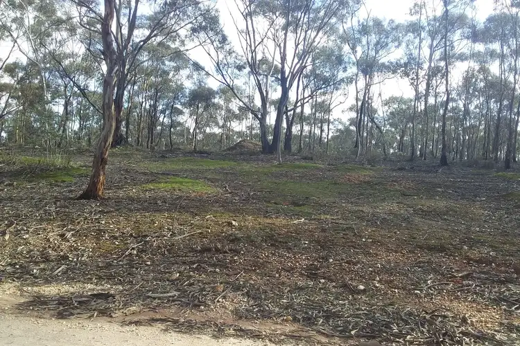 Third view of Homely rural property listing, Lot 3 Alice Street, Dunolly VIC 3472