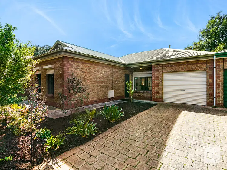 19B Weller Street, Goodwood SA 5034