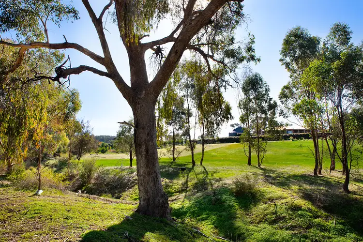 Fourth view of Homely house listing, 17 Nelson Street, Maldon VIC 3463