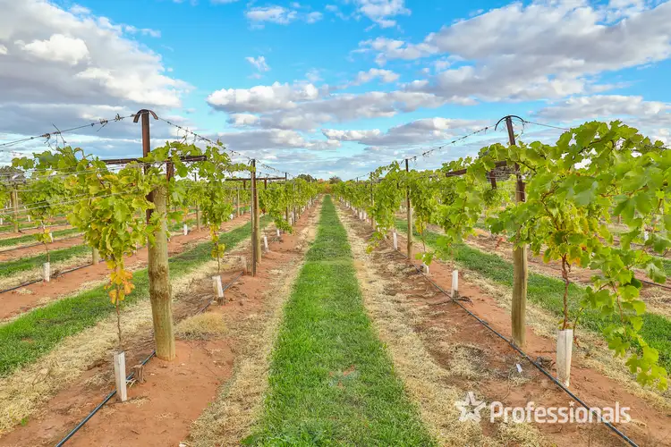 Third view of Homely rural property listing, 42 Daunts Road, Sunnycliffs VIC 3496