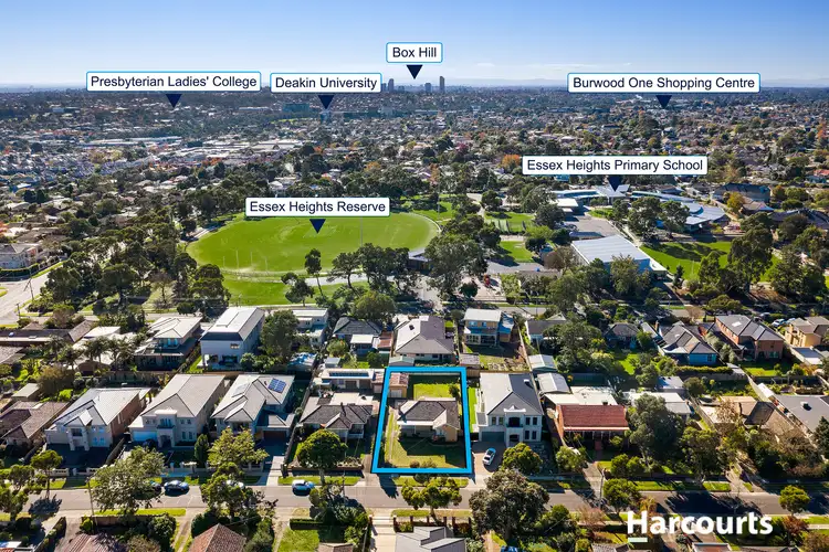 Fifth view of Homely house listing, 11 Hillside Road, Mount Waverley VIC 3149