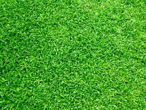 LOT 24, 30 Martin Close, South Morang VIC 3752