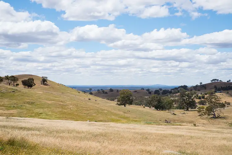 Second view of Homely land listing, Lot 1 Youngs Lane, Sedgwick VIC 3551