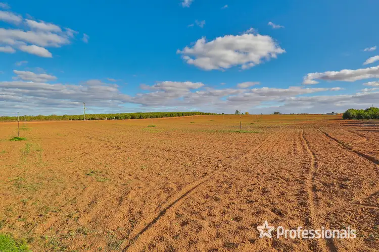 Fourth view of Homely rural property listing, 297 Iraak Lake Road, Iraak VIC 3494