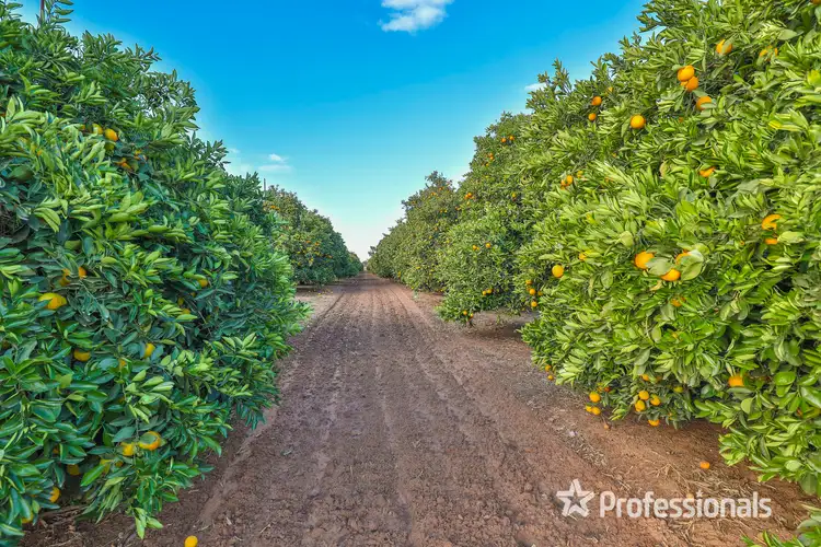 Fifth view of Homely rural property listing, 297 Iraak Lake Road, Iraak VIC 3494