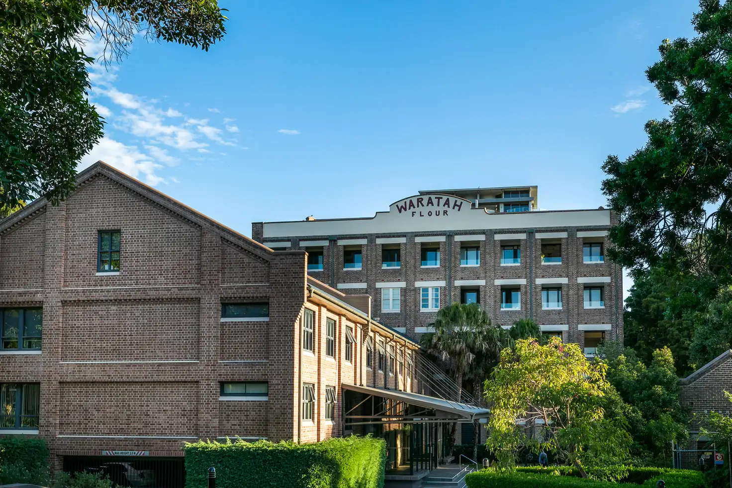 Main view of Homely apartment listing, 47/10-14 Terry Road, Dulwich Hill NSW 2203